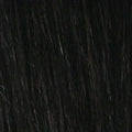 Eve Hair Inc - Fashion Bun (ev-040)