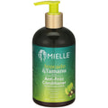 Mielle Avo$Tamanu Conditioner 12 Oz