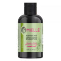 Mielle Rosemary Shampoo