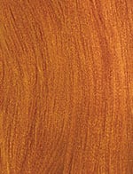 Color Cinnamon