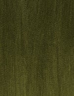 Color Marsh