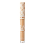 Ruby Kisses All Day Cover Concealer official pack