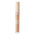 Ruby Kisses All Day Cover Concealer official pack