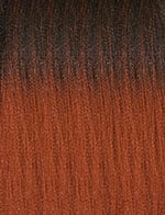 xpressions-3x-58-1 SM1B/350 official