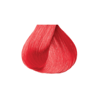 RED by KISS Tintation T460 Salmon official shade chip — ivyusa.com