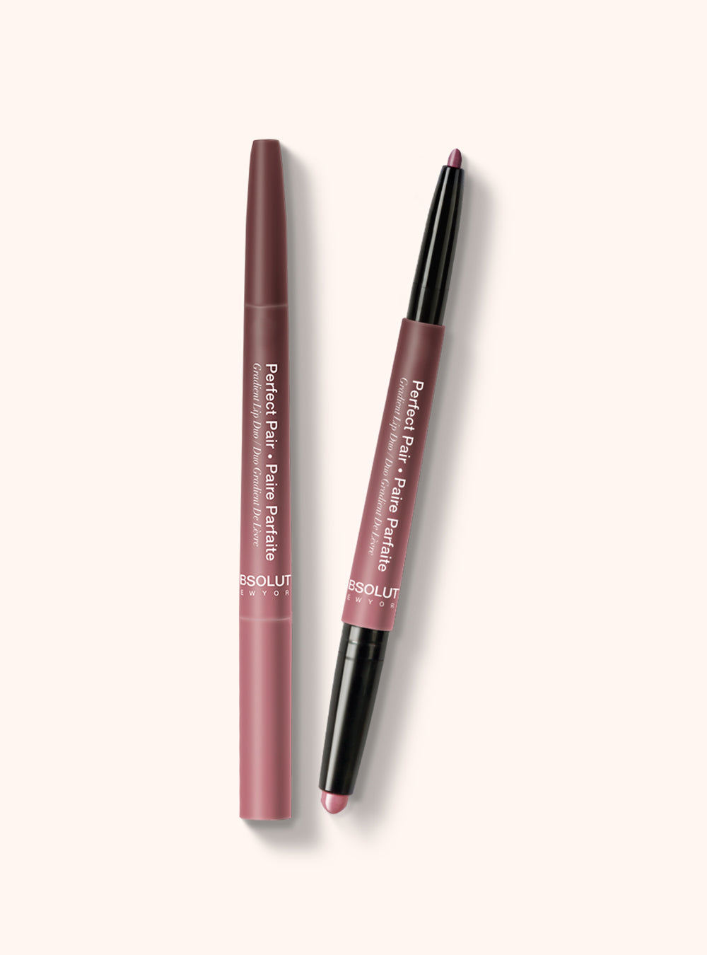 Absolute New York Perfect Pair Lip Duo Rose Wood ALD04