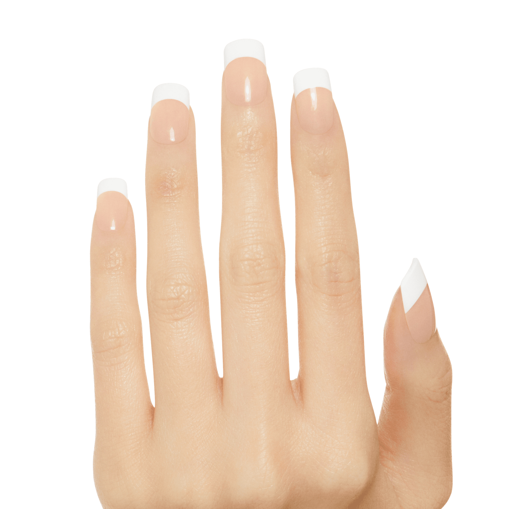 Kiss Salon Acrylic French Nails 28pc Rumour Mill KSA12 — official pack KSA12 (hhnqiwyyvj2uoop5tdpq.png) from kiss